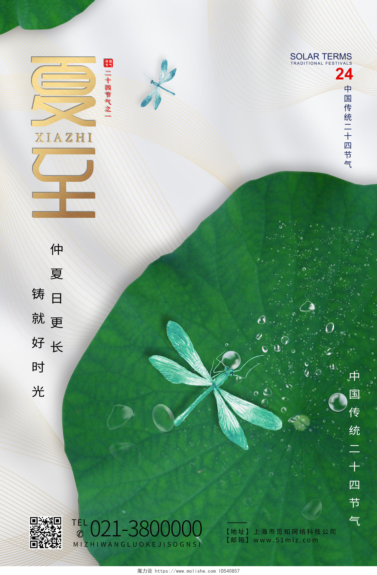 绿色简约夏至二十四节气传统节气中国节气夏至节日海报